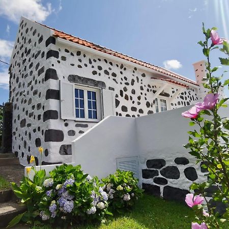 Vivenda Flores - Casa Hortensia Lomba  المظهر الخارجي الصورة